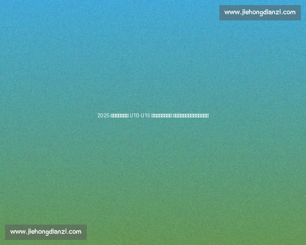 2025 中青赛沈阳赛区 U10-U15 组赛前联席会召开 俱乐部组赛事筹备进入冲刺阶段